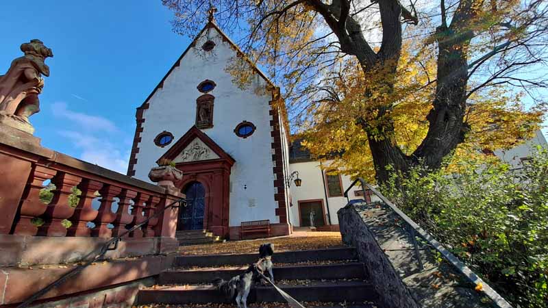 wanderung grossheubach main unterfranken kloster engelberg mainauen