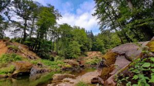 prüm irrel hängebrücke wasserfall stromschnellen wandern teuflische acht