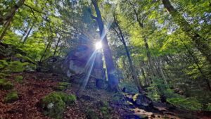 teufelsschlucht ernzen rundweg teufelspfad naturpark südeifel bitburg prüm