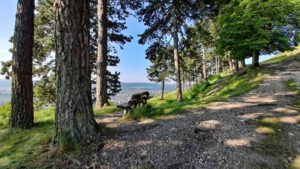 wandern ausflug rundweg kelten nördlinger ries bopfingen ipf