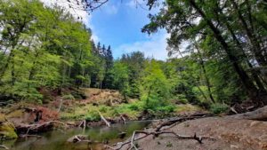 prüm bei irrel wanderung teuflische acht teufelsschlucht ernzen eifel