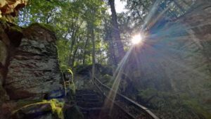mischwald schluchtenwald teufelsschlucht ernzen rheinland pfalz wandern