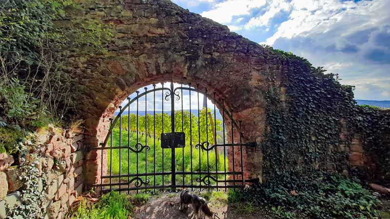 burgen schlösser ruinen unterfranken clingenburg