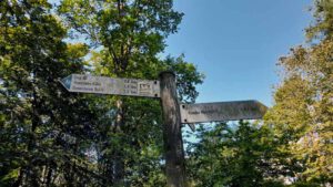 wegweiser zu den felsen auf der geiersteine tour lug pfalz