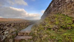 wandern bayern oberpfalz ruine waldeck essbarer wildpflanzenpark