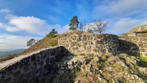 wandern ewilpa essbarer wildpflanzenpark ruine waldeck kemnath