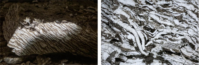 Barbarossahöhle - Kyffhäuser 15 schlangengips anhydrit höhle barbarossa kyffhäuser