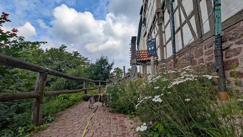 WARTBURG Eisenach 17 wartburg eisenach thüringen ausflug