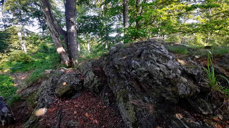 Elendstal Harz 24 felsen elendstal harz sachsen anhalt wanderung