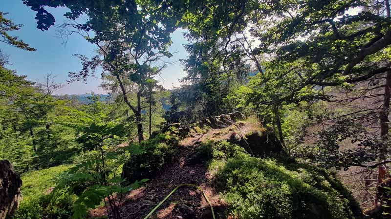 Elendstal Harz 16 trockenhang über dem elendstal harz schierke elend sachsen anhalt
