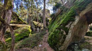 weißmain-ochsenkopf-steig wandern fichtelgebirge premiumweg