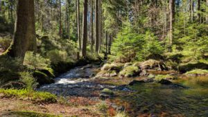 weißmain am fuß des ochsenkopfes im fichtelgebirge wanderung