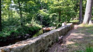 Elendstal Harz 7 wandern harz oberharz elend elendstal kalte bode