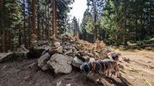weißmain ochsenkopf steig
