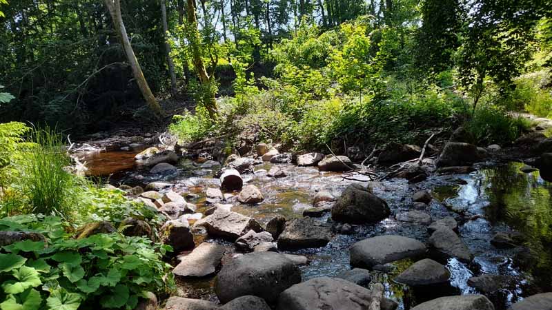 Elendstal Harz 20 kalte bode harz elendstal wandern rundweg helenenruh