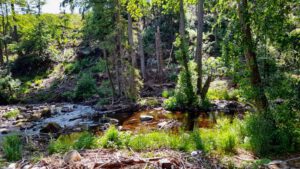 Elendstal Harz 9 kalte bode harz elend elendstal wanderung ausflug