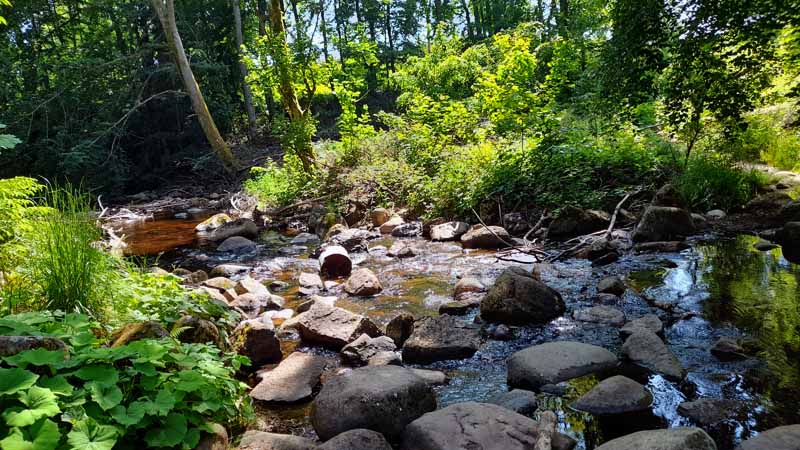 Elendstal Harz 2 elendstal elend harz oberharz wanderung kalte bode