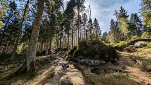 fränkische wanderberge ochsenkopf oberfranken fichtelgebirge