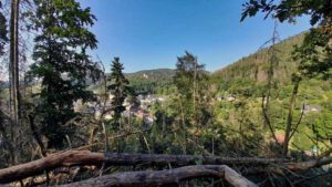 aussicht urwaldpfad leutenberg schiefergebirge