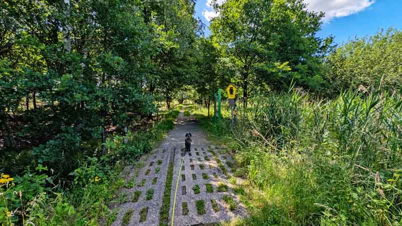 Naturschutzgebiet Rhäden am Monte Kali 12 rhäden rundweg wandern naturschutzgebiet am monte kali heringen