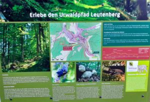 info tafel urwaldpfad leutenberg