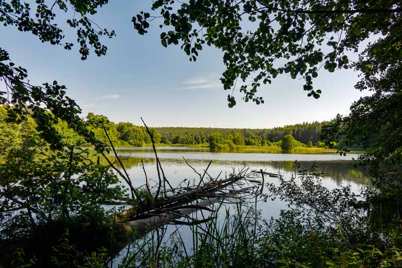 Wanderungen in der Fränkischen Schweiz - Teil 2 15 kammerweiher pegnitzauen auerbach oberpfalz fränkische schweiz wanderungen