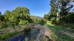 miras garten leutenberg urwaldpfad thüringen
