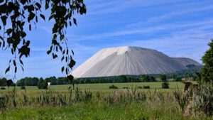 Naturschutzgebiet Rhäden am Monte Kali 6 hessen salzberg monte kali kalimandscharo rhäden rundweg
