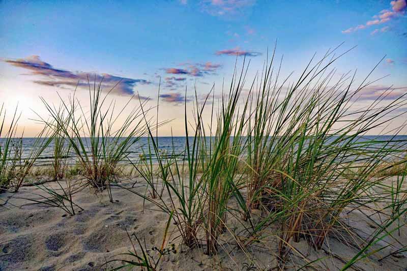NATIONALPARKS IN DEUTSCHLAND 8 nationalparks in deutschland nationalpark hamburgisches wattenmeer