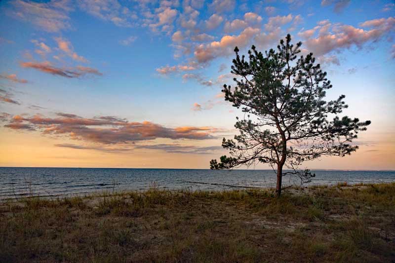 NATIONALPARKS IN DEUTSCHLAND 16 nationalpark np schleswig holsteinisches wattenmeer