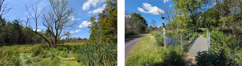 Naturschutzgebiet Rhäden am Monte Kali 14 sumpf moor im naturschutzgebiet rhäden bosserode obersuhl hessen thüringen wandern
