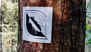 urwaldpfad leutenberg markierung wegweiser
