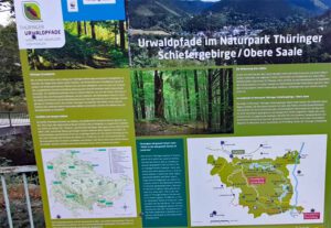 info thüringer urwaldpfade naturpark schiefergebirge saale