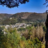 urwaldpfad leutenberg thüringen schiefergebirge urwaldperle urwald