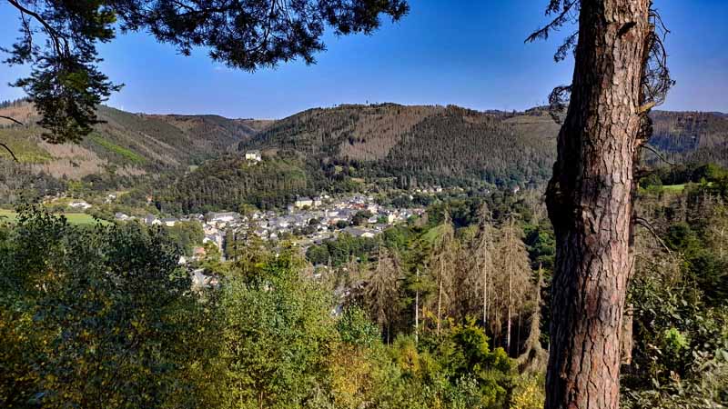 urwaldpfad leutenberg thüringen schiefergebirge urwaldperle urwald