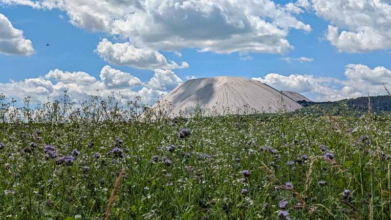 Naturschutzgebiet Rhäden am Monte Kali 4 monte kali heringen hessen rhäden rundweg ausflug wandern