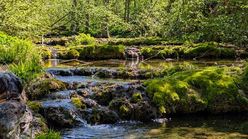 Naturlehrpfad Weißenohe zur Lillachquelle 9 naturlehrpfad lillachtal kalktuff sinter stufen terrassen