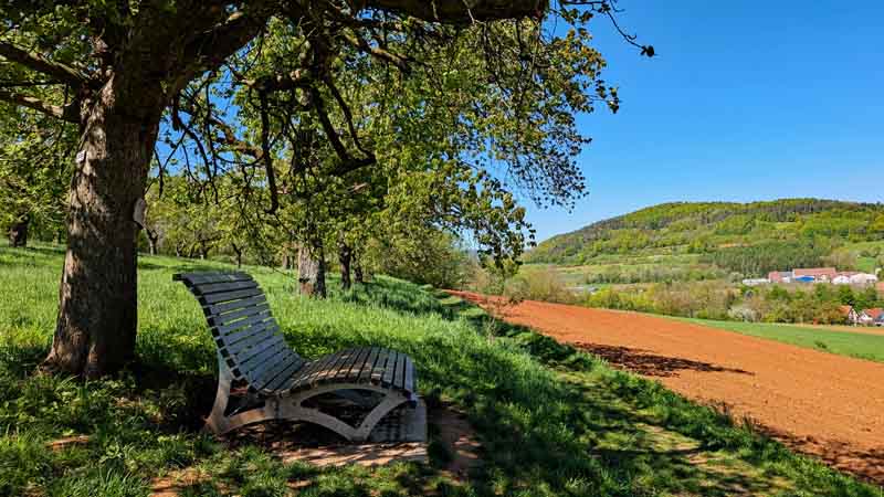Naturlehrpfad Weißenohe zur Lillachquelle 20 naturlehrpfad lillachtal weißenohe forchheim oberfranken wandern