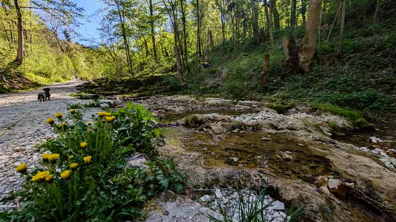 Naturlehrpfad Weißenohe zur Lillachquelle 11 kalktuff sinter terrassen lillach weißenohe forchheim oberfranken