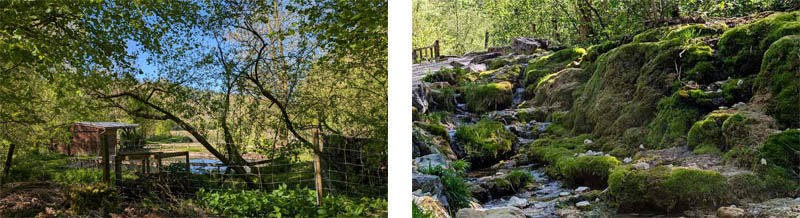 Naturlehrpfad Weißenohe zur Lillachquelle 15 lillach naturlehrpfad weißenohe bayern oberfranken