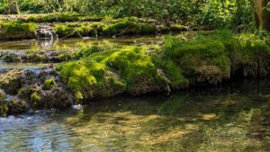 Naturlehrpfad Weißenohe zur Lillachquelle 13 kalk sinter stufen terrassen kaskade lillach fränkische schweiz