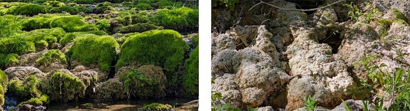 Naturlehrpfad Weißenohe zur Lillachquelle 10 sinterterrassen kalkstufen lillachtal lillach quelle weißenohe fränkische