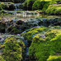 wandern landkreis forchheim fraenkische schweiz lillachtal sinterterrassen