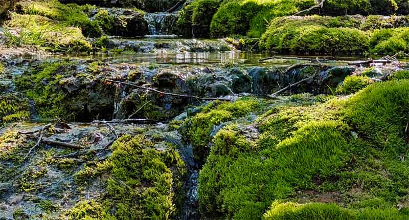 Naturlehrpfad Weißenohe zur Lillachquelle 2 wandern landkreis forchheim fraenkische schweiz lillachtal sinterterrassen
